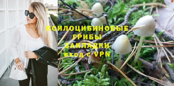 гидропоника Алексеевка
