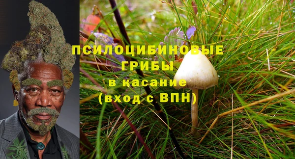 гидропоника Нея