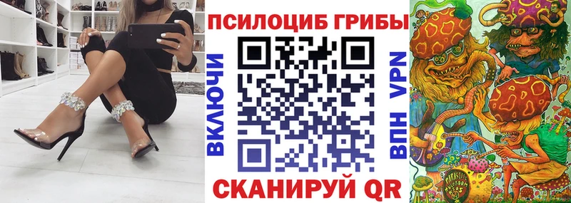 закладки  площадка формула  Псилоцибиновые грибы мицелий  Адыгейск 